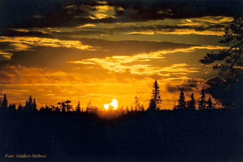 Foto der Partiellen Sonnenfinsternis am 31.07.2000